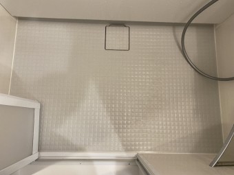 IMG_1297 きれいになります